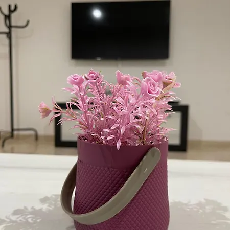 Apartment Cayla